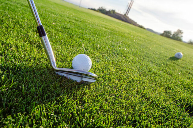 Golf club on grass